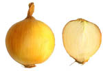 Allium_cepa_cultivar_OH_1