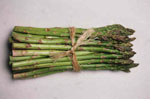 Asparagus_officinalis