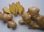 Zingiber_officinale